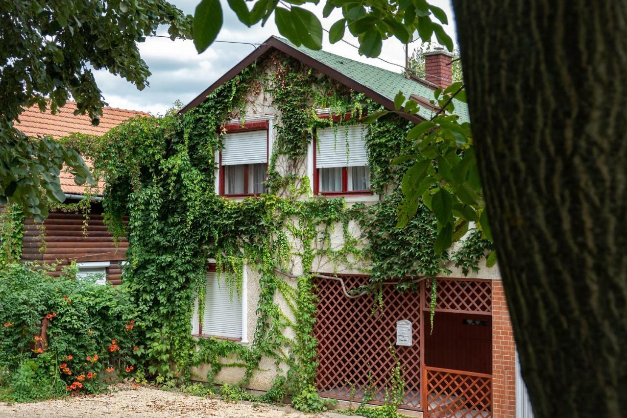 Vadszolo Apartmanhaz Gyomaendrőd מראה חיצוני תמונה